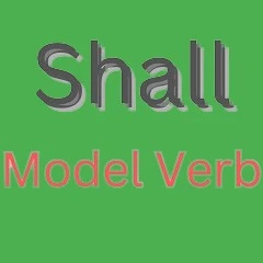 shall-model-verb