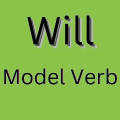 will-model-verb